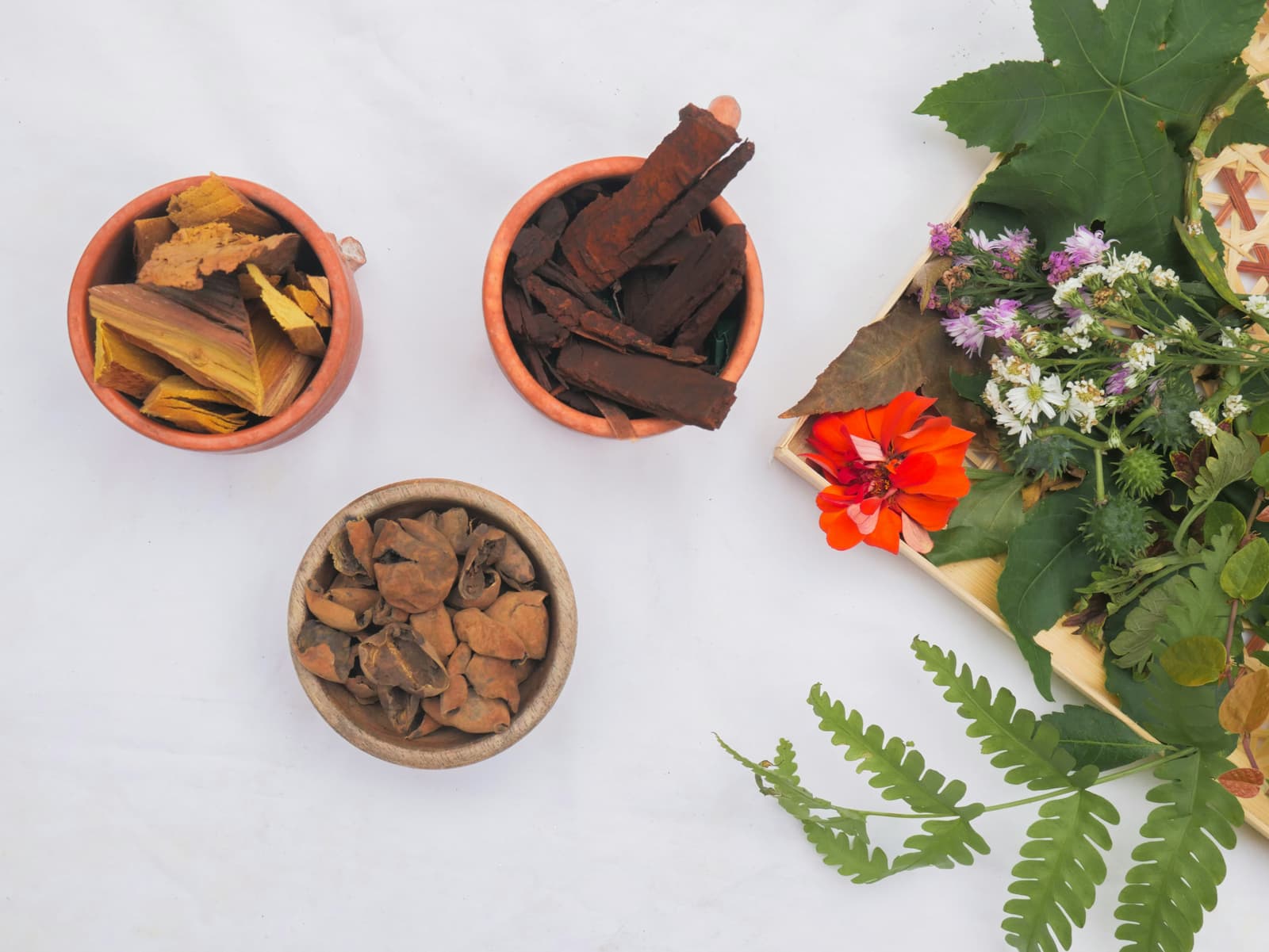 Dried herbs, barks and roots in clay bowls with fresh leaves and flowers